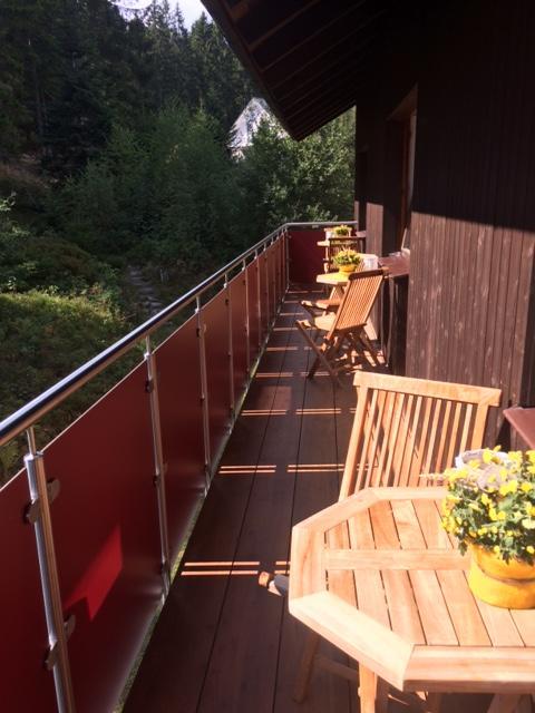 Schlesierhaus Διαμέρισμα Dachsberg im Schwarzwald Εξωτερικό φωτογραφία